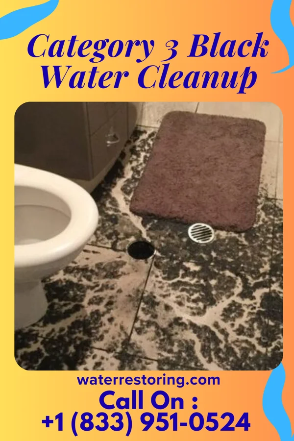 Category 3 Black Water Cleanup in Center Point, AL